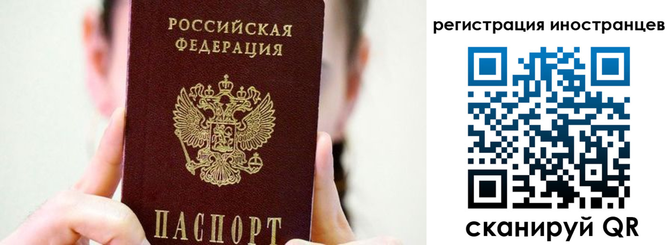 прописка штамп в Павловске